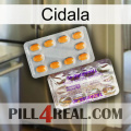 Cidala new12